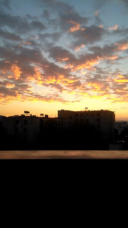 有关GOPRO, 垂直视频, 天性的免费素材视频