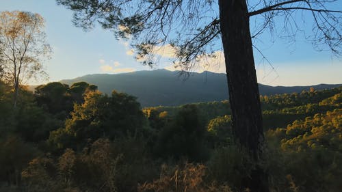 有关公园, 天性, 天空的免费素材视频