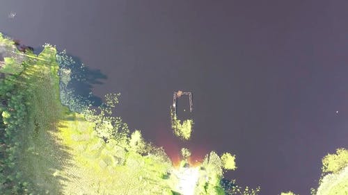 有关fpv, 动态射击, 天性的免费素材视频