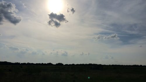 有关动物, 吃草, 天性的免费素材视频