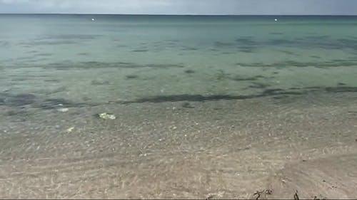 有关夏天, 岸边, 户外的免费素材视频