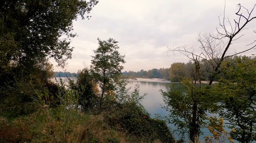 有关天性, 天空, 户外的免费素材视频