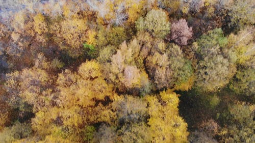 有关俄国, 圣彼得堡, 景观的免费素材视频