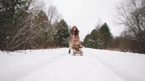 有关下雪, 儿童, 冬季仙境的免费素材视频