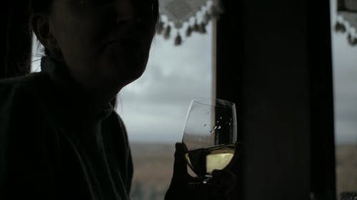 有关喝, 漆黑, 葡萄酒的免费素材视频