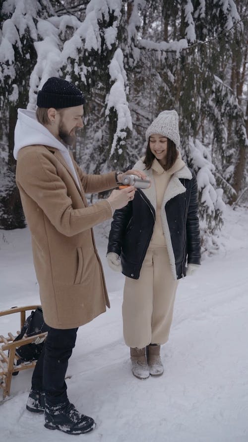 有关@户外, 一对, 下雪的的免费素材视频