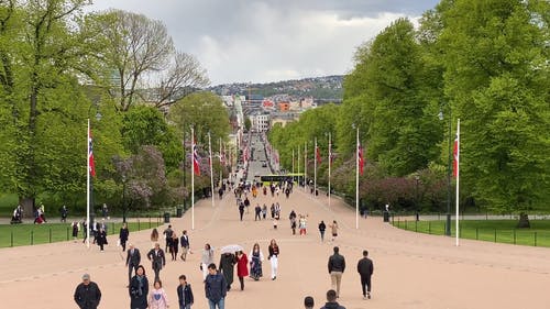 有关人行道, 公园, 奥斯陆的免费素材视频