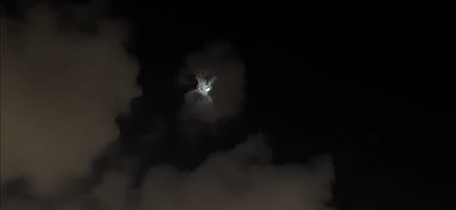 有关@户外, 人们在说话, 低角度的免费素材视频