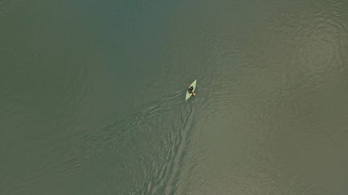 有关划桨, 从上面, 水体的免费素材视频