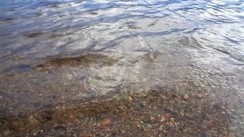 有关天性, 抽象, 抽象背景的免费素材视频