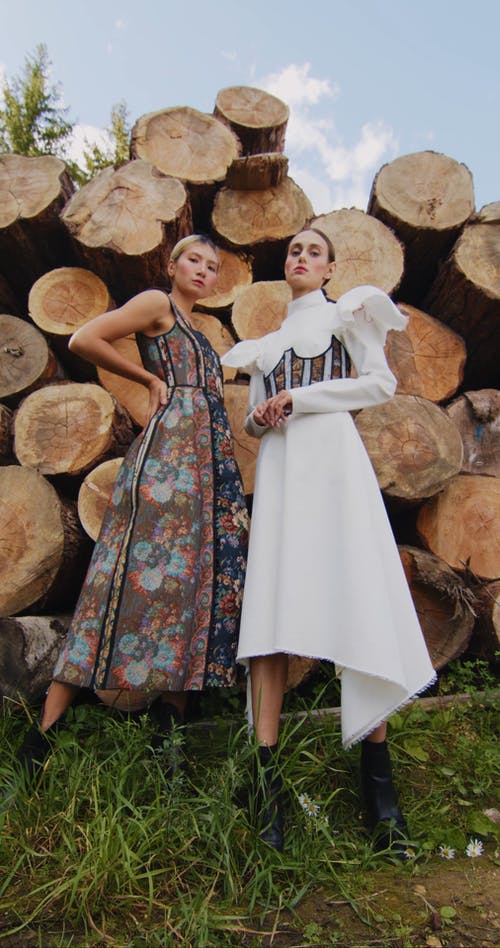 有关低角度, 原本, 多样化的免费素材视频