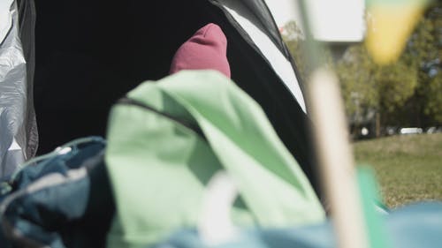 有关坐, 天性, 女孩的免费素材视频