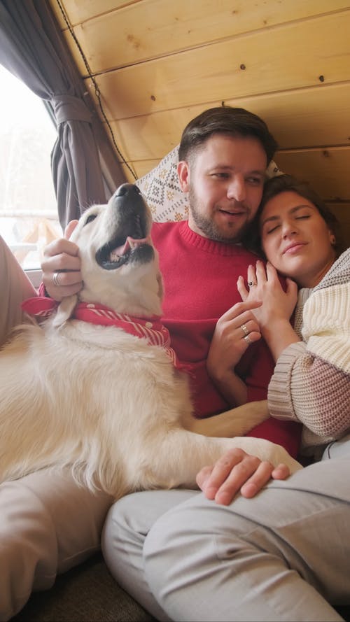 有关一对, 人, 在家的免费素材视频