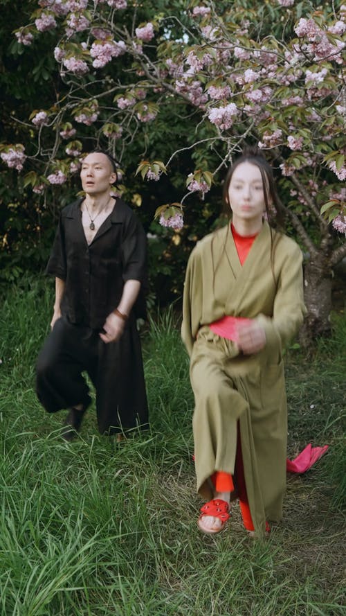 有关一对, 传统服装, 公园的免费素材视频