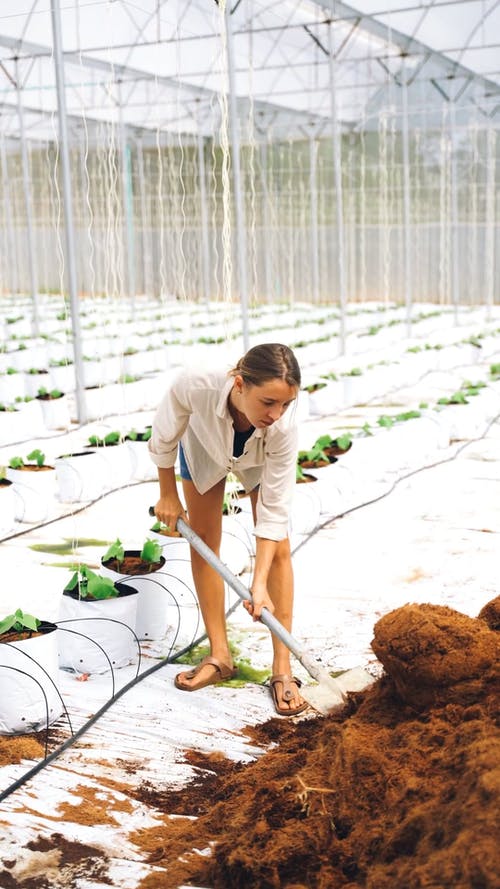 有关土, 垂直视频, 壤土的免费素材视频