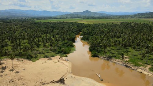 有关天性, 平原, 户外的免费素材视频