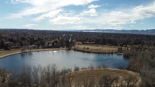 有关明亮, 树木, 湖的免费素材视频