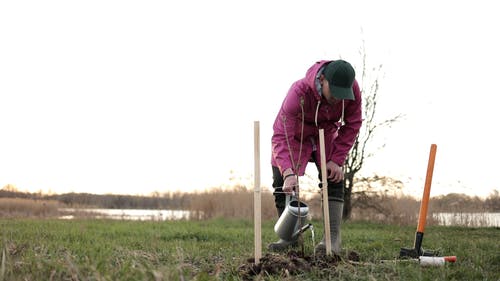 有关@户外, 一起, 人的免费素材视频