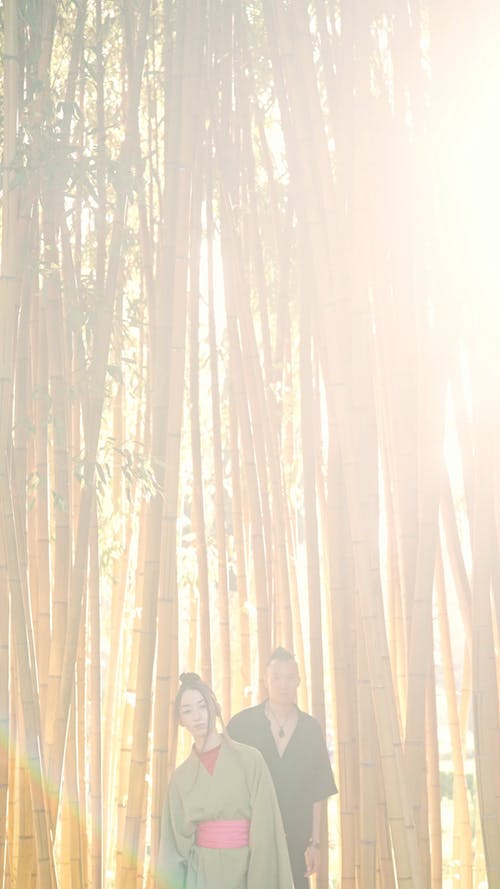 有关一对, 传统服饰, 和服的免费素材视频