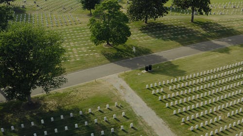 有关和平的, 墓园, 墓碑的免费素材视频