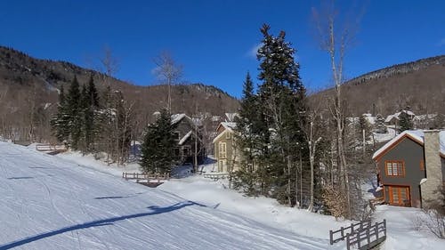 有关下雪的, 优美的风景, 加拿大的免费素材视频