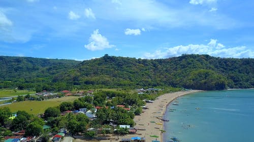 有关人, 岸边, 树木的免费素材视频