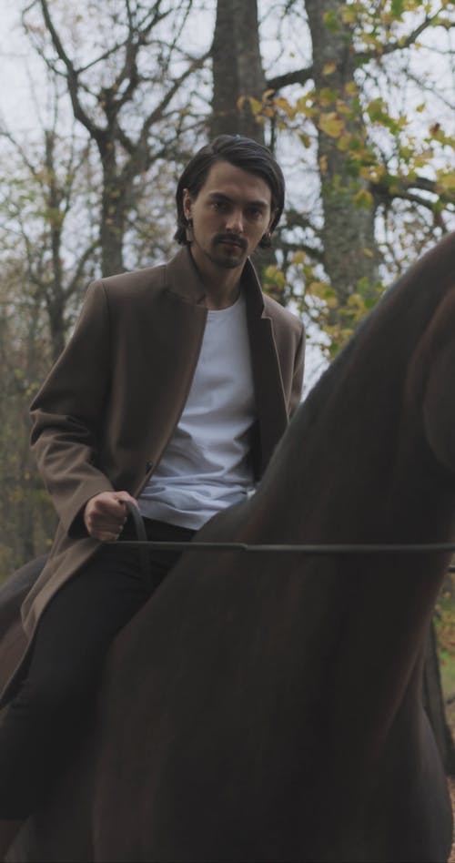 有关人, 动物爱好者, 动物的免费素材视频