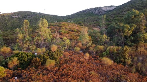 有关天性, 山, 山丘的免费素材视频