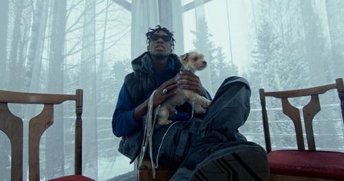 有关低角度拍摄, 冬季, 可爱的免费素材视频