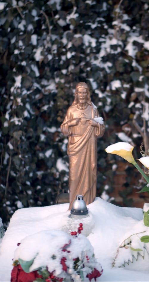 有关冬季, 垂直视频, 大雪覆盖的免费素材视频