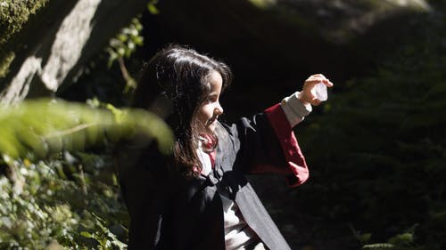 有关人物, 哈利波特, 天性的免费素材视频