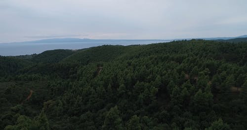 有关优美的风景, 天性, 天空的免费素材视频