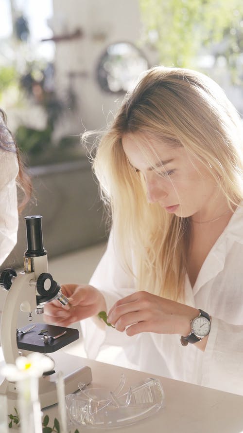 有关人, 垂直视频, 女人的免费素材视频