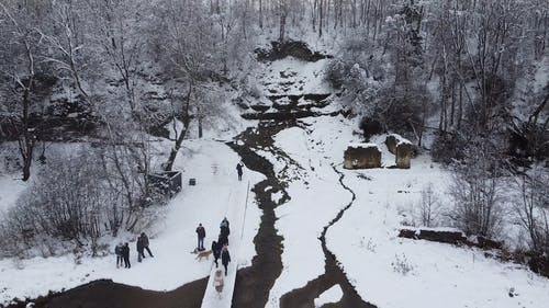 有关下雪的天气, 公园, 冬季的免费素材视频