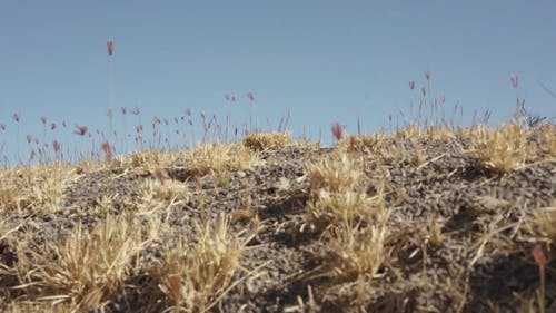有关（顶部有小羊毛球的）羊毛帽子, 人, 帽子的免费素材视频