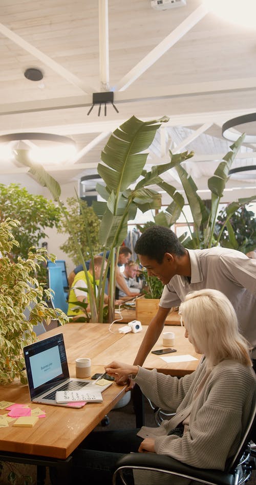 有关MacBook, 人, 便利贴的免费素材视频