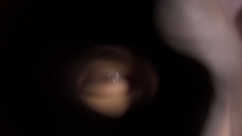 有关人, 儿童, 可爱的免费素材视频