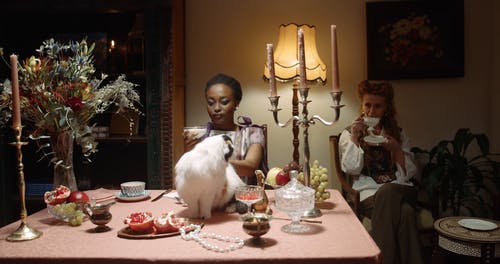 有关一起, 优雅, 公寓的免费素材视频