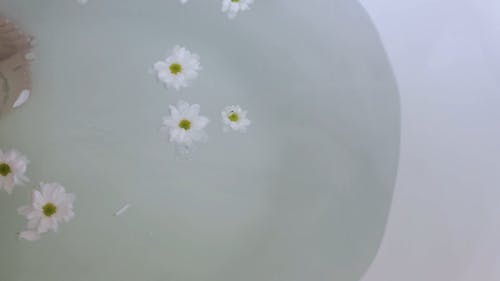有关休闲, 刺青, 刺青的的免费素材视频