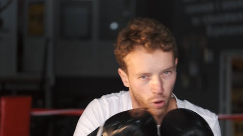 有关人, 冲压, 太极拳的免费素材视频