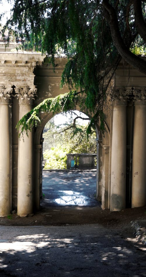 有关垂直视频, 女人, 後视图的免费素材视频