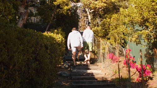 有关一起, 假期, 后视图的免费素材视频