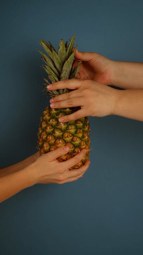 有关半, 垂直视频, 手的免费素材视频