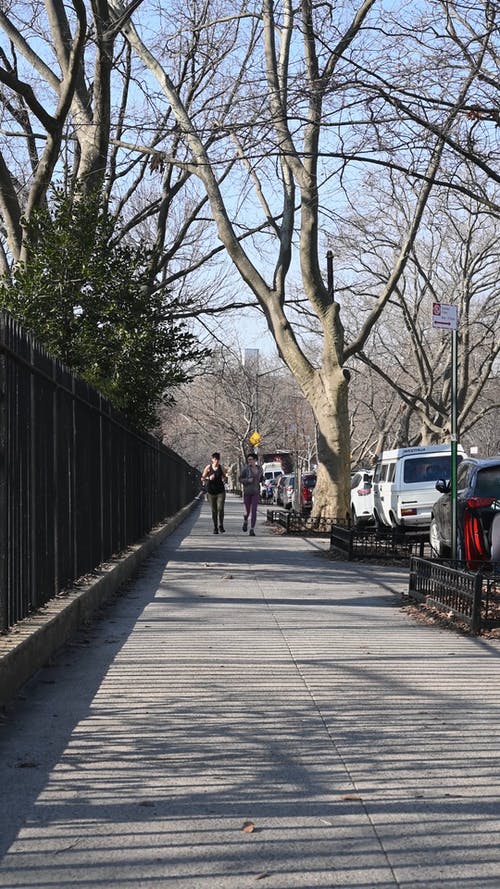 有关一对, 健身, 公园的免费素材视频