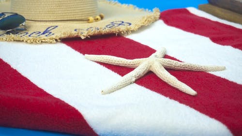 有关夏天, 太阳帽, 沙滩巾的免费素材视频