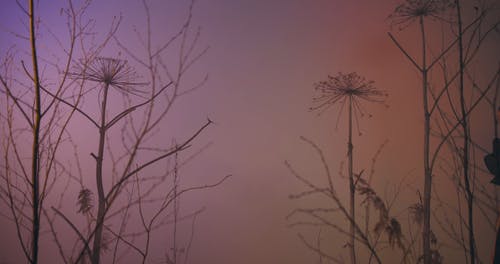 有关一起, 女性, 室内的免费素材视频