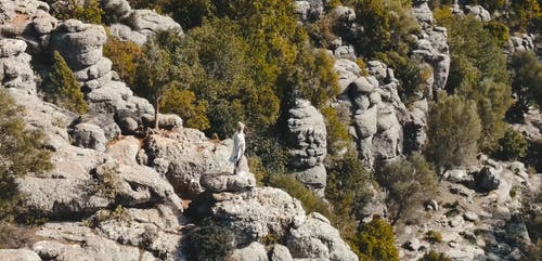 有关休闲, 健行, 冒险家的免费素材视频