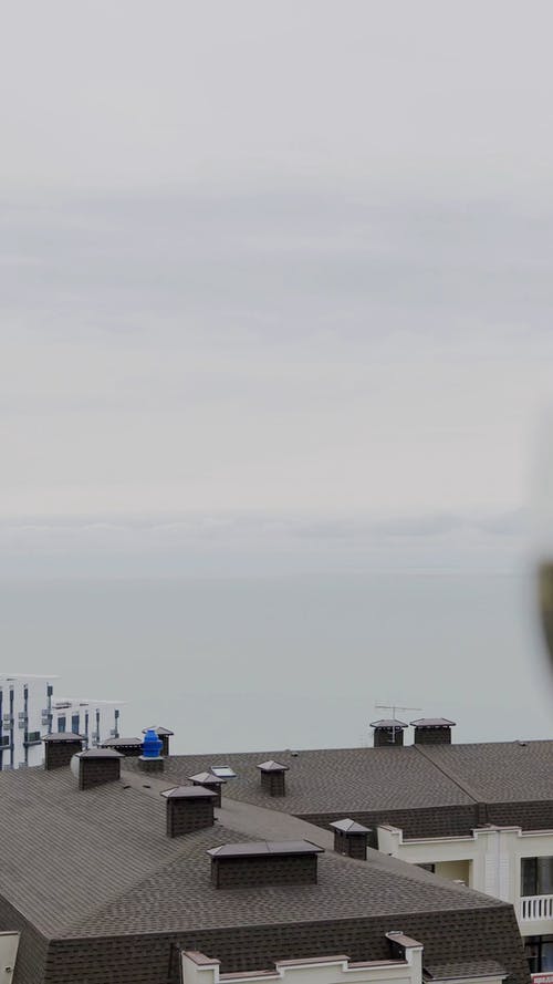 有关一对, 休闲, 垂直视频的免费素材视频