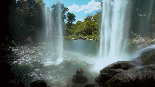 有关丛林, 天性, 岩石的免费素材视频