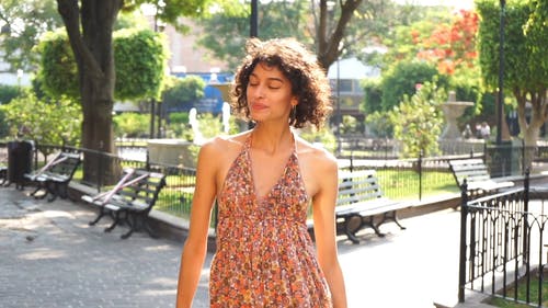 有关人, 修理头发, 假期的免费素材视频